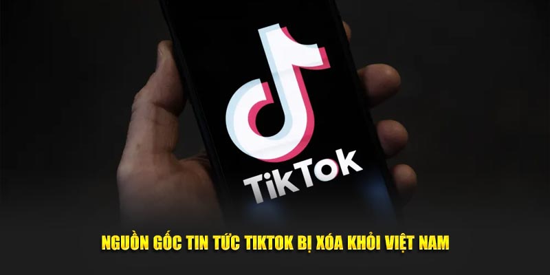 Nguồn gốc tin tức Tiktok bị xóa khỏi Việt Nam