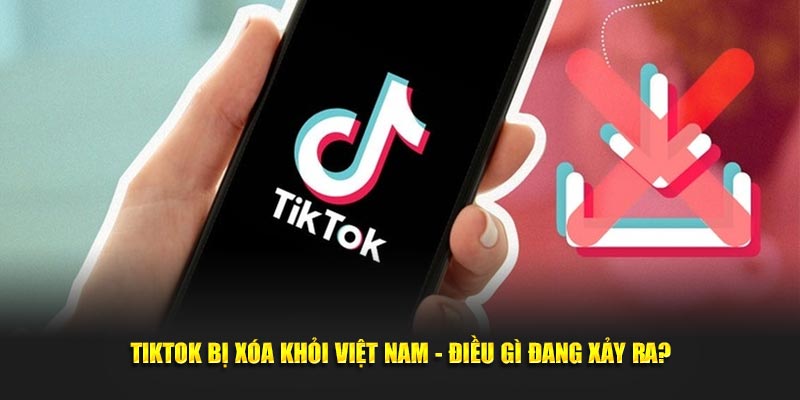 Tiktok Bị Xóa Khỏi Việt Nam