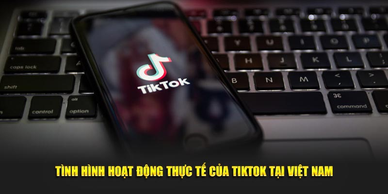 Tình hình hoạt động thực tế của Tiktok tại Việt Nam